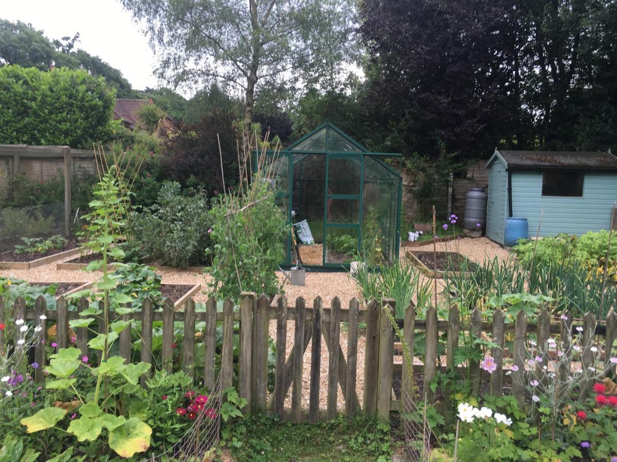 Fernwood Bed and Breakfast Ringwood Exteriör bild