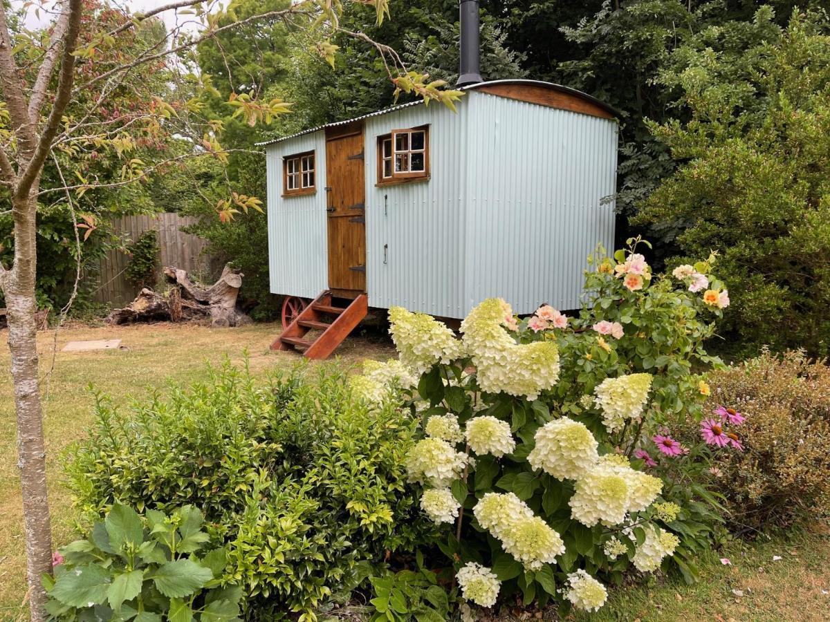 Fernwood Bed and Breakfast Ringwood Exteriör bild