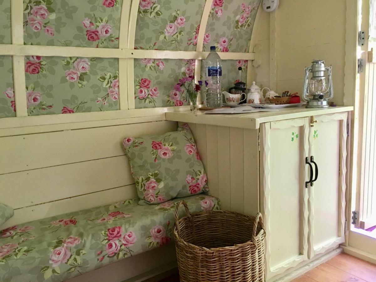 Fernwood Bed and Breakfast Ringwood Exteriör bild