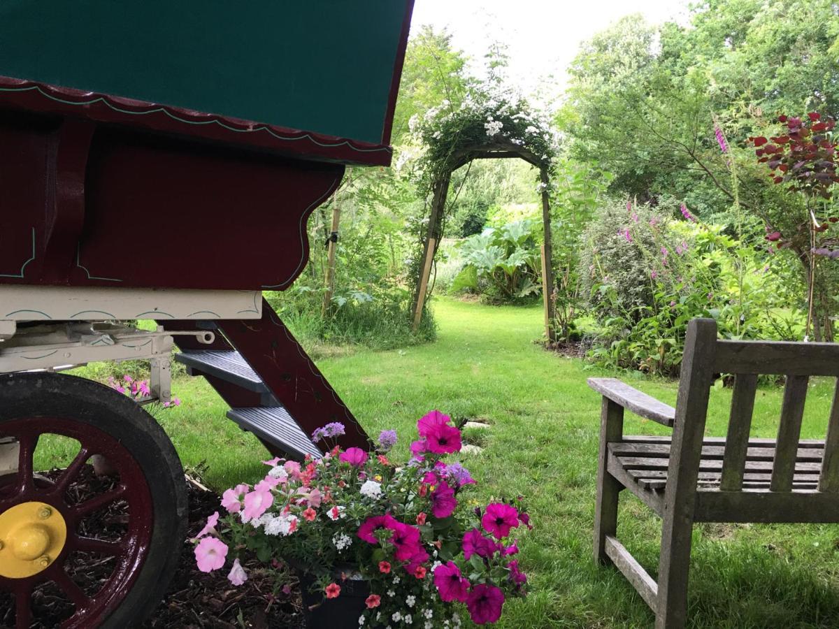 Fernwood Bed and Breakfast Ringwood Exteriör bild
