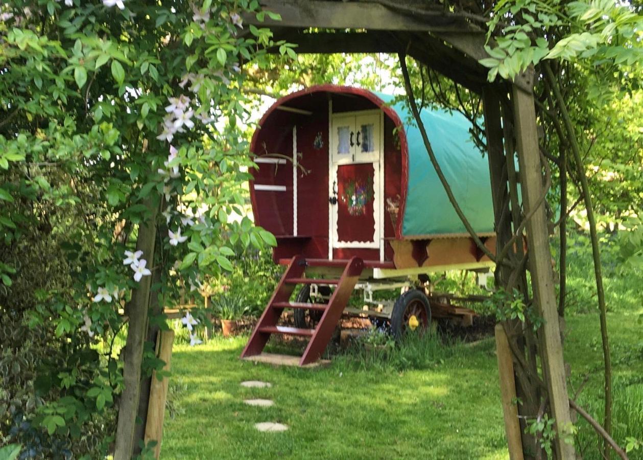 Fernwood Bed and Breakfast Ringwood Exteriör bild