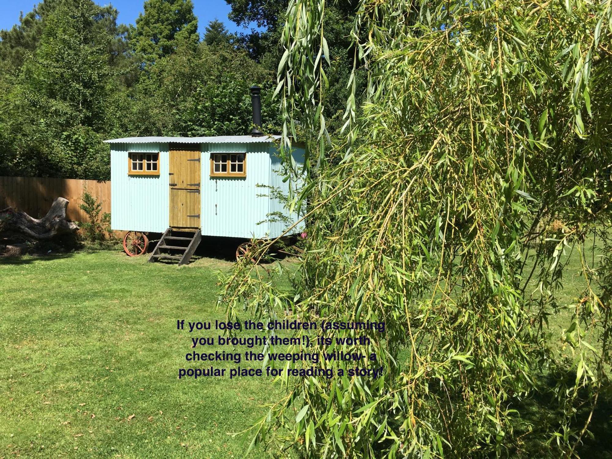 Fernwood Bed and Breakfast Ringwood Exteriör bild