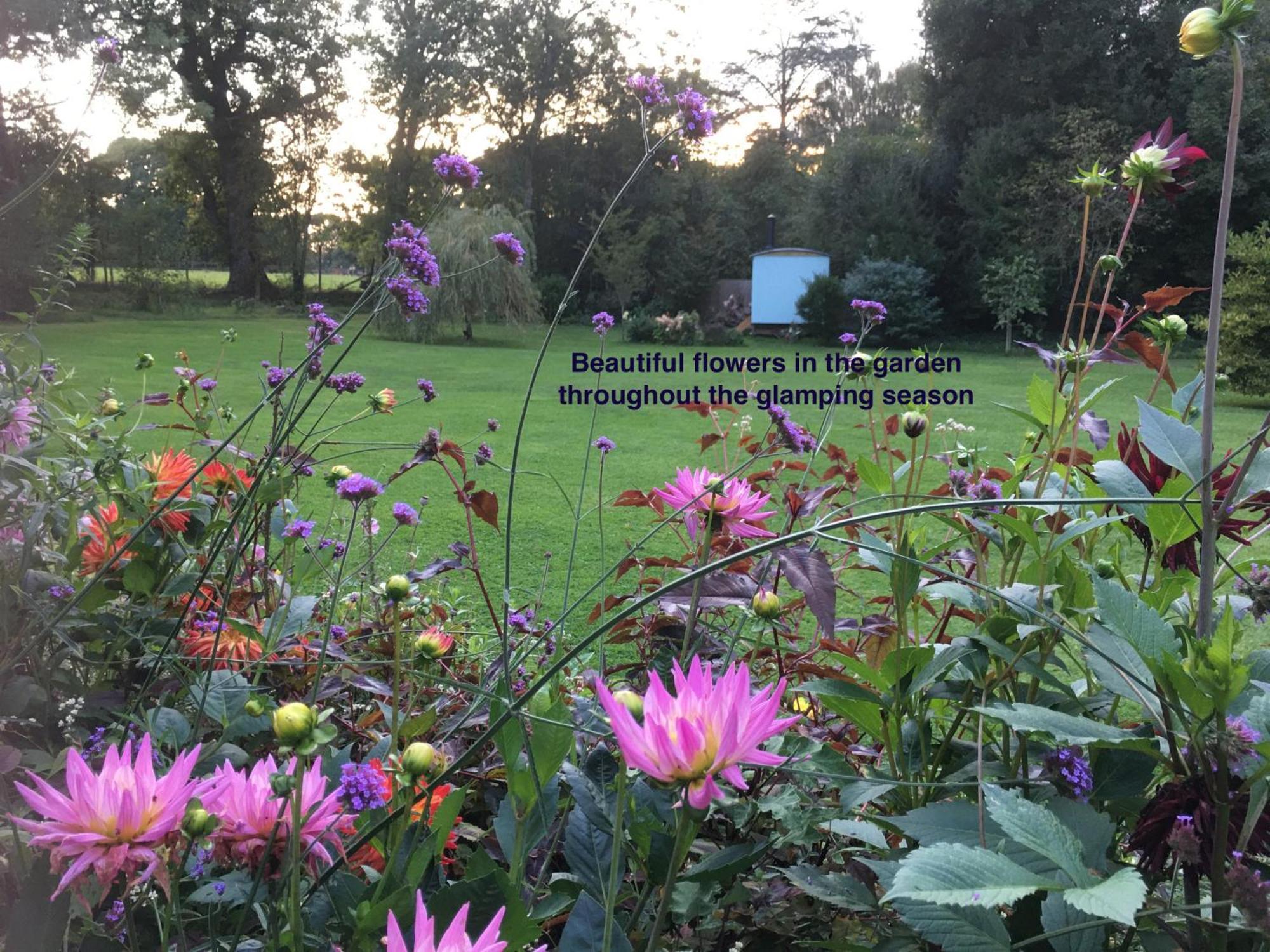 Fernwood Bed and Breakfast Ringwood Exteriör bild